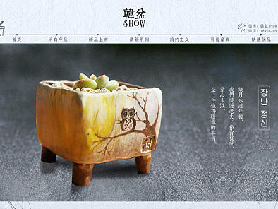 简约文艺韩式花盆首页