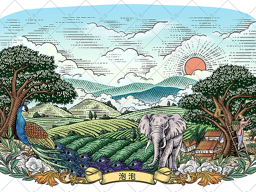2023年插画作品合集