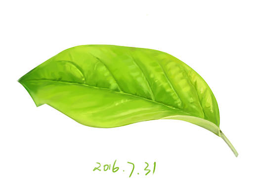 手绘叶子（个人主页-ZMTg0NDExOTY=） - 创作习作 - 站酷设计师自由_glp原创素材 - 站酷ZCOOL