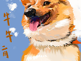 #我家毛孩子牛牛