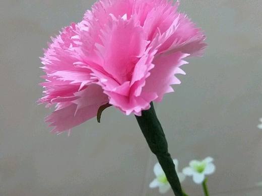 纸花_粉色康乃馨