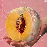 EEEEE3173的头像