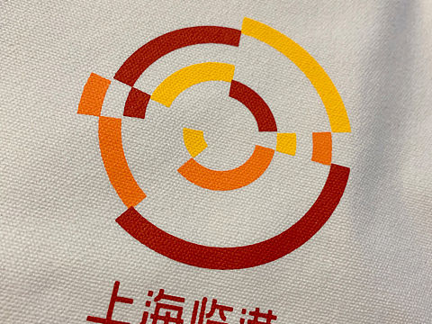 又红又专的帆布袋[z加油]