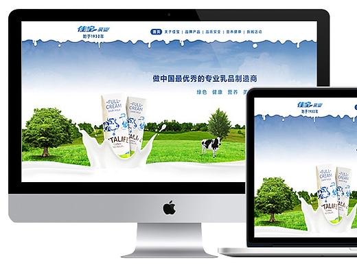 网页设计（企业改版）（个人主页-ZMjAwNzc4NjA=） - 企业官网 - 站酷设计师辛丽丹原创素材 - 站酷ZCOOL