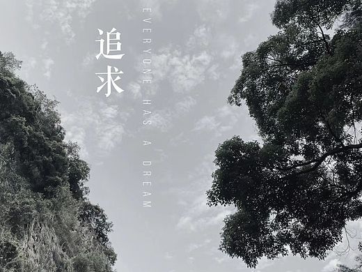 追求