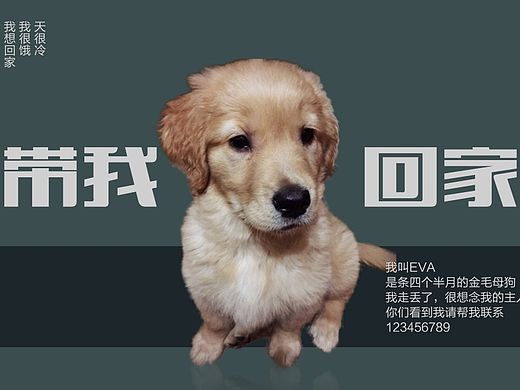 我是EVA，带我回家