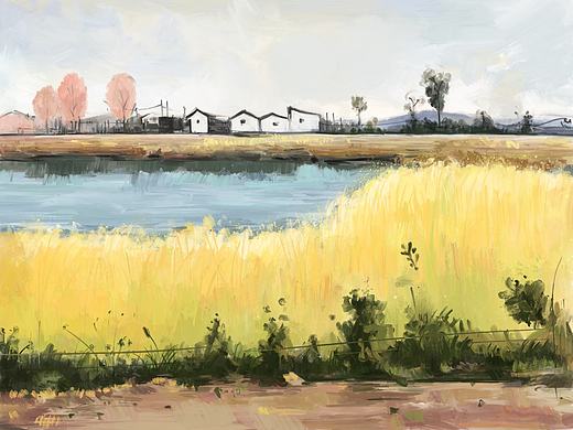 Procreate 绘画