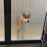 效果表现_T的头像