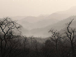 风景
