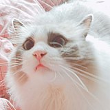 RainBow_LiM的头像