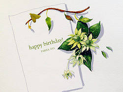 基友們都在八月生日，涂一個(gè)（個(gè)人主頁(yè)-ZMjUyMzc3Ng==） - 創(chuàng)作習(xí)作 - 站酷設(shè)計(jì)師parisa_zhang方姐原創(chuàng)素材 - 站酷ZCOOL