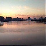 游与画的头像