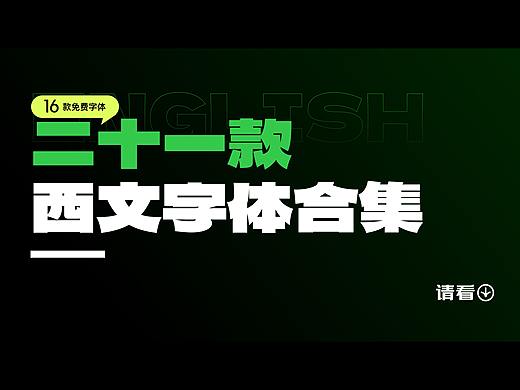 二十一款西文字体合集