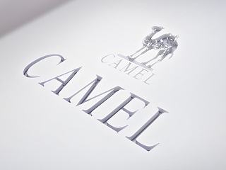 【camel品牌】- 店铺品牌介绍页面