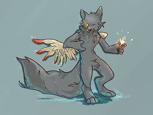 【兽圈】介绍认识