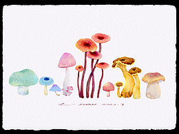 iPad仿水彩插画-蘑菇合集