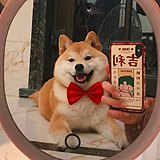 辘辘醬籽的头像