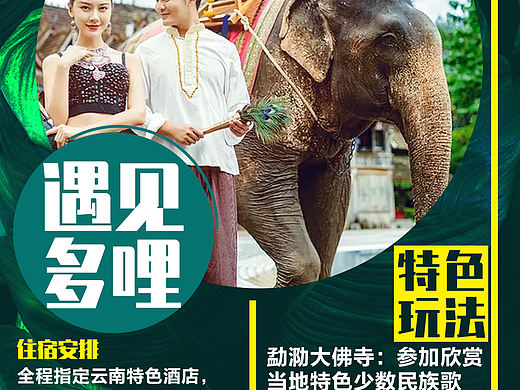 充满热带雨林的设计