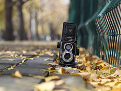 2012年11月 银杏/三里屯/双反