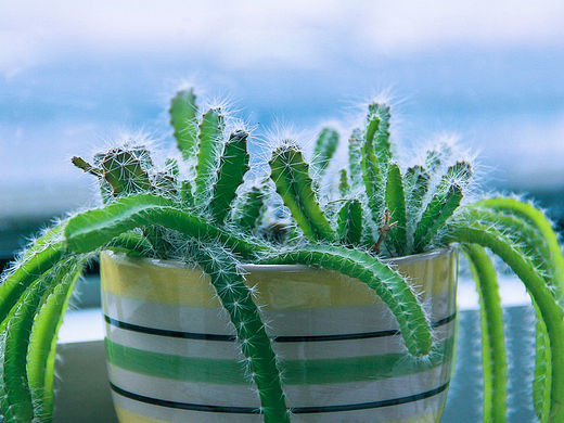 電腦桌面（個人主頁-ZMTU0ODc1MzY=） - 產(chǎn)品攝影 - 站酷設(shè)計師山山而川上的麥子原創(chuàng)素材 - 站酷ZCOOL