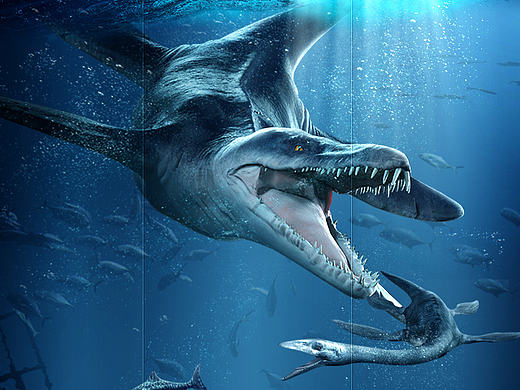 跟桌松老师练习的作品