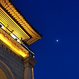 猫的姐姐的头像