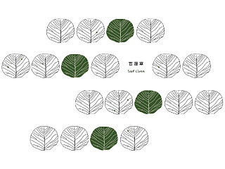 植物之美