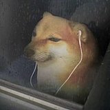 何必要挣扎的头像