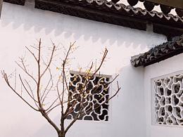 寒冬