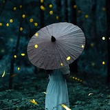 Aya饼叔的头像