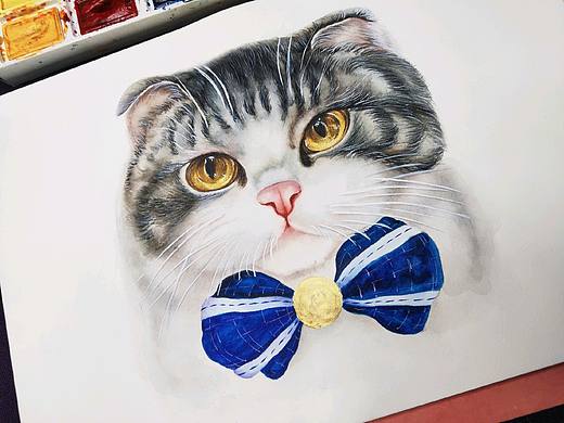 水彩 猫咪