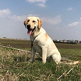 什么鬼哦的头像