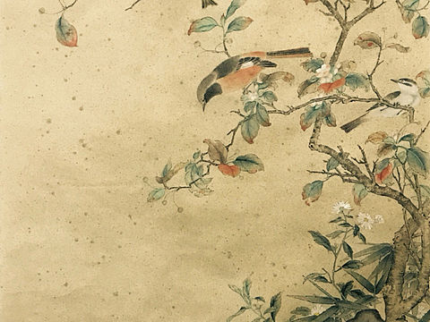 习作