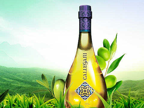 橄榄油（个人主页-ZMjAzMzk0MzY=） - 品牌 - 站酷设计师qianxi0824原创素材 - 站酷ZCOOL