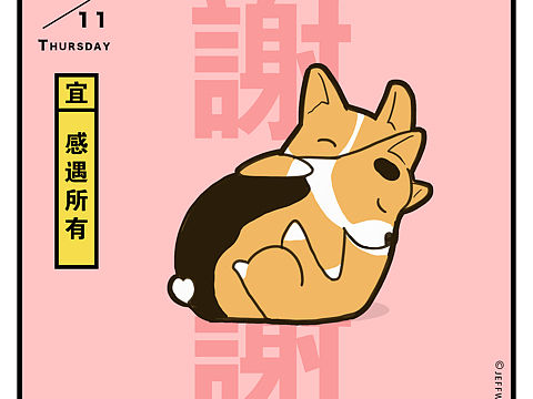 感恩节