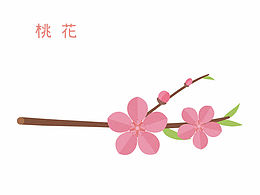 扁平風(fēng)格的花兒