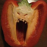 happypepper的头像