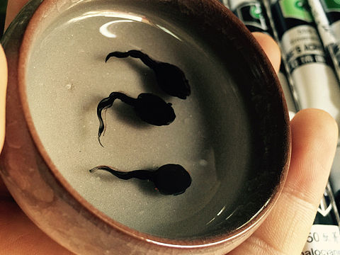 树脂画 蝌蚪（个人主页-ZNDIwODU4NjA=） - 绘画 - 站酷设计师Jerry田野原创素材 - 站酷ZCOOL