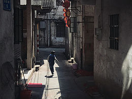 奔跑光影中