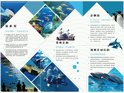 为自己幻想的海洋馆做的折页与单页