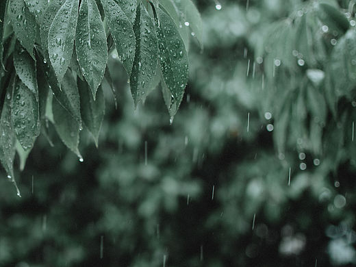 盛夏的雨天