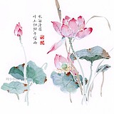 Q山丘的头像