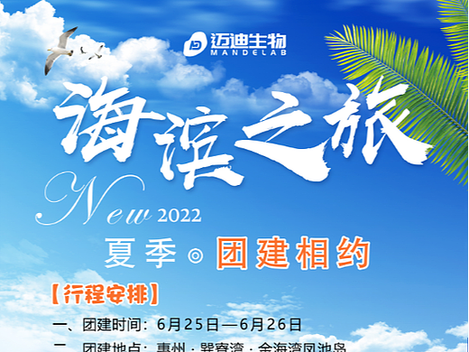 团建海报旅游海报出行海报海边旅游海报夏天度假海报