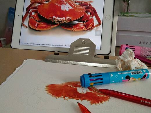 紅燒螃蟹（個(gè)人主頁(yè)-ZMTg1NDQ5ODA=） - 繪畫 - 站酷設(shè)計(jì)師人生一支筆原創(chuàng)素材 - 站酷ZCOOL