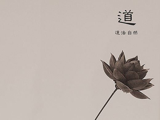 禅流
