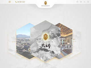 (St.Regis)-white IPAD