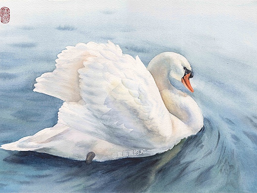 水彩白天鹅