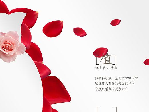 花瓣