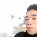 阿凯不叫王大锤的头像