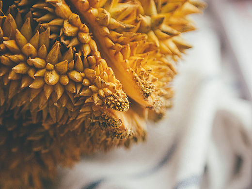 榴莲小小酥 | 你才臭，咱们香着呢~~